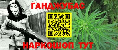 крисы Новодвинск