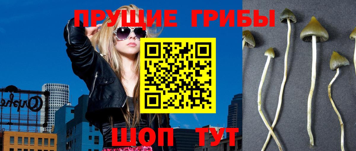 Псилоцибиновые грибы Magic Shrooms Санкт-Петербург