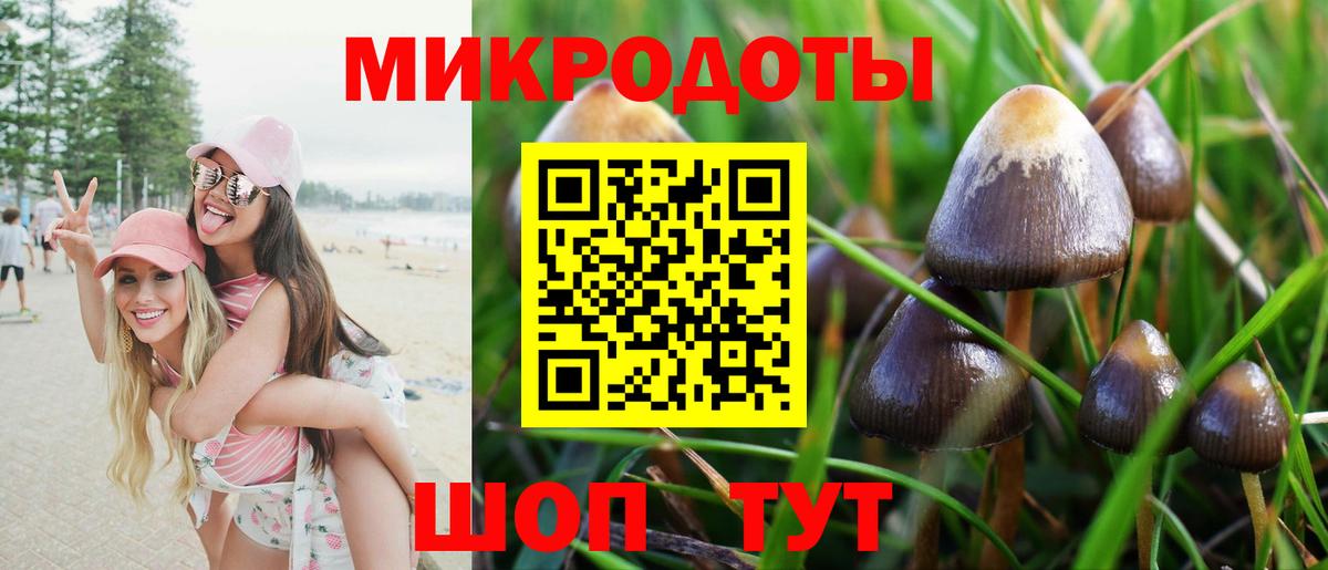 Санкт-Петербург  Галлюциногенные грибы Psilocybine cubensis  Вход с VPN  Галлюциногенные грибы Psilocybine cubensis 